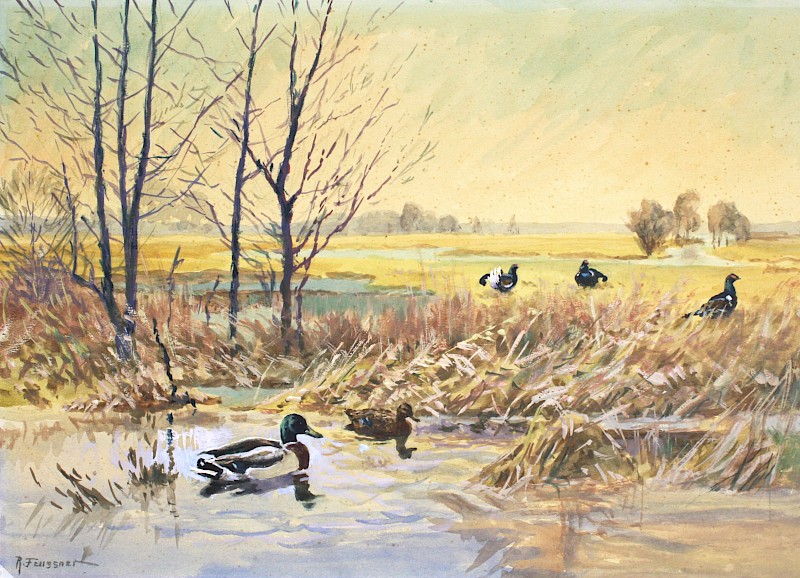 Reinhold Feussner: Birkhähne und Stockenten, 1950er Jahre