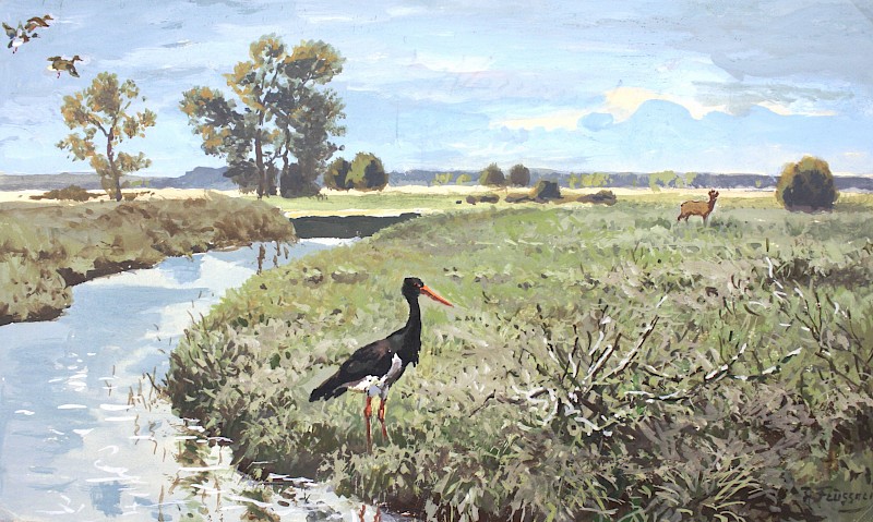Reinhold Feussner: Wiesenlandschaft mit Schwarzstorch, 1950er Jahre