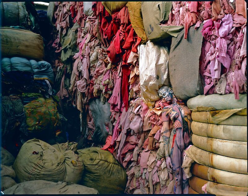 Pink Fifty One Eleven, Prato 1984 © Holger Trülzsch