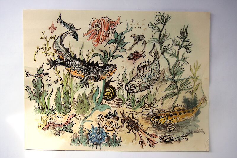 Eugen Weidenbaum, Seeigel mit Fischen © Ostpreußisches Landesmuseum