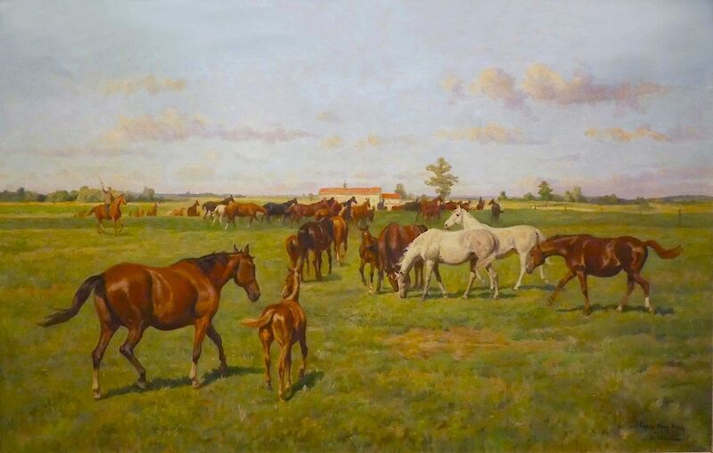 Gemischtfarbende Stutenherde auf dem Vorwerk Bajohrgallen im Hauptgestüt Trakehnen, nach einem Gemälde von Georg Koch, um 1960 © Ostpreußisches Landesmuseum